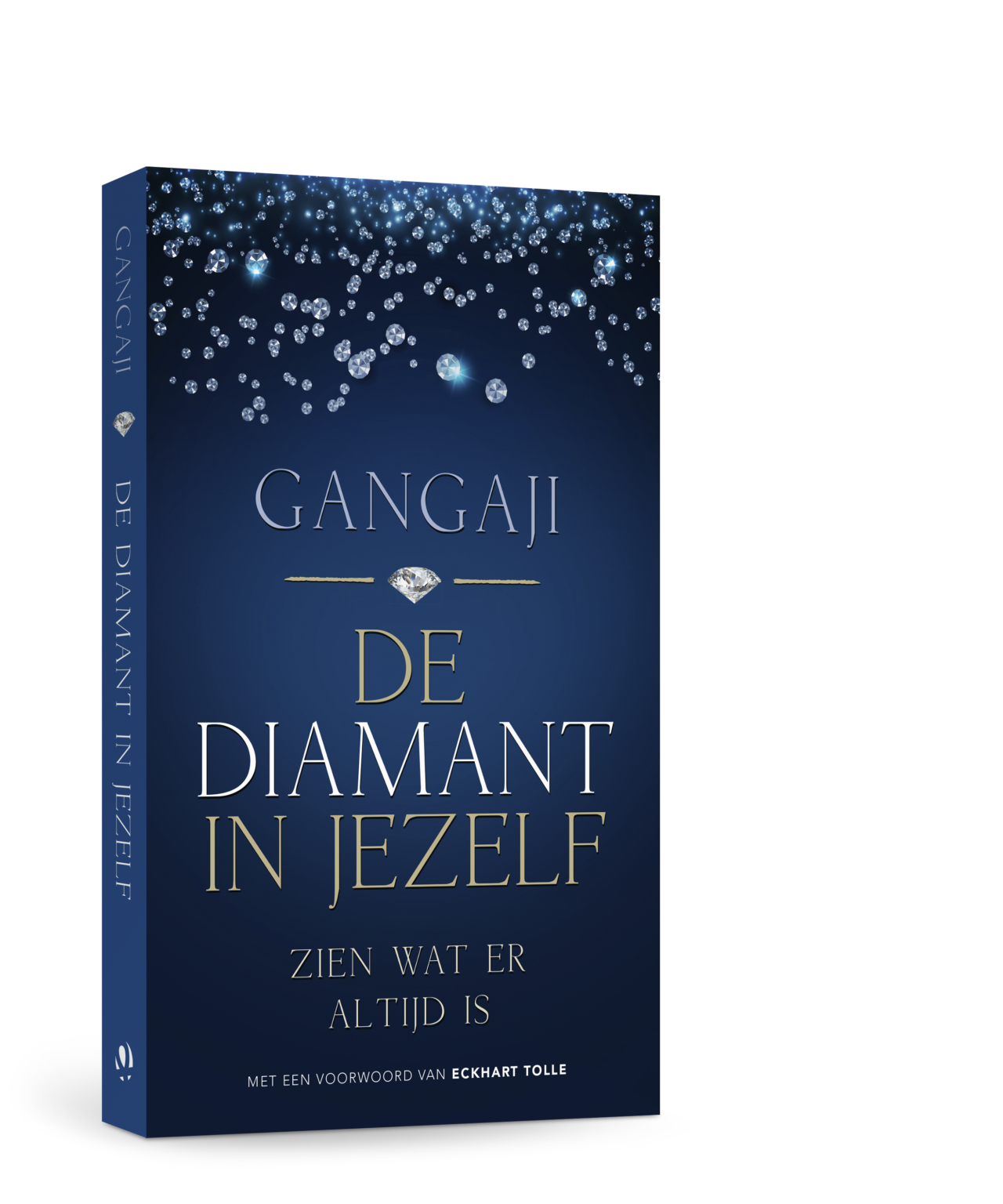 Op de afbeelding is een donkerblauwe kaft te zien, met bovenin glinsterende diamanten. In het midden van het omslag staat de titel van het boek.
