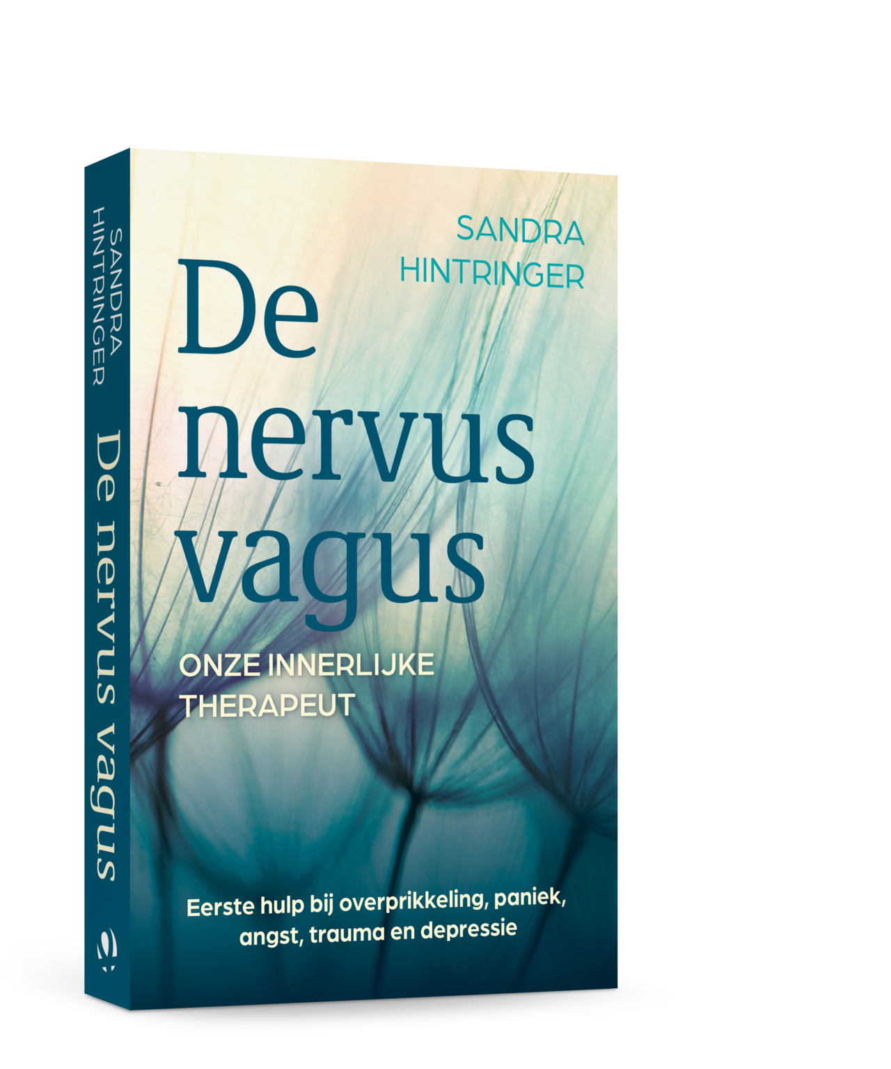 Het omslag van 'De nervus vagus'