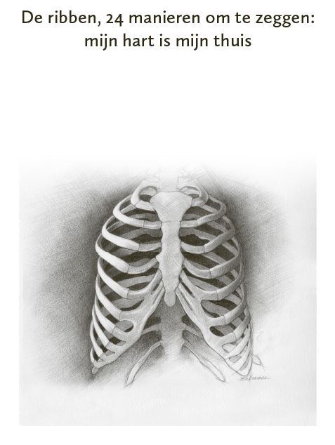Op de afbeelding is een zwartwit tekening van de borstkas afgebeeld, afkomstig uit het boek 'Het geheugenpaleis van onze botten'.
