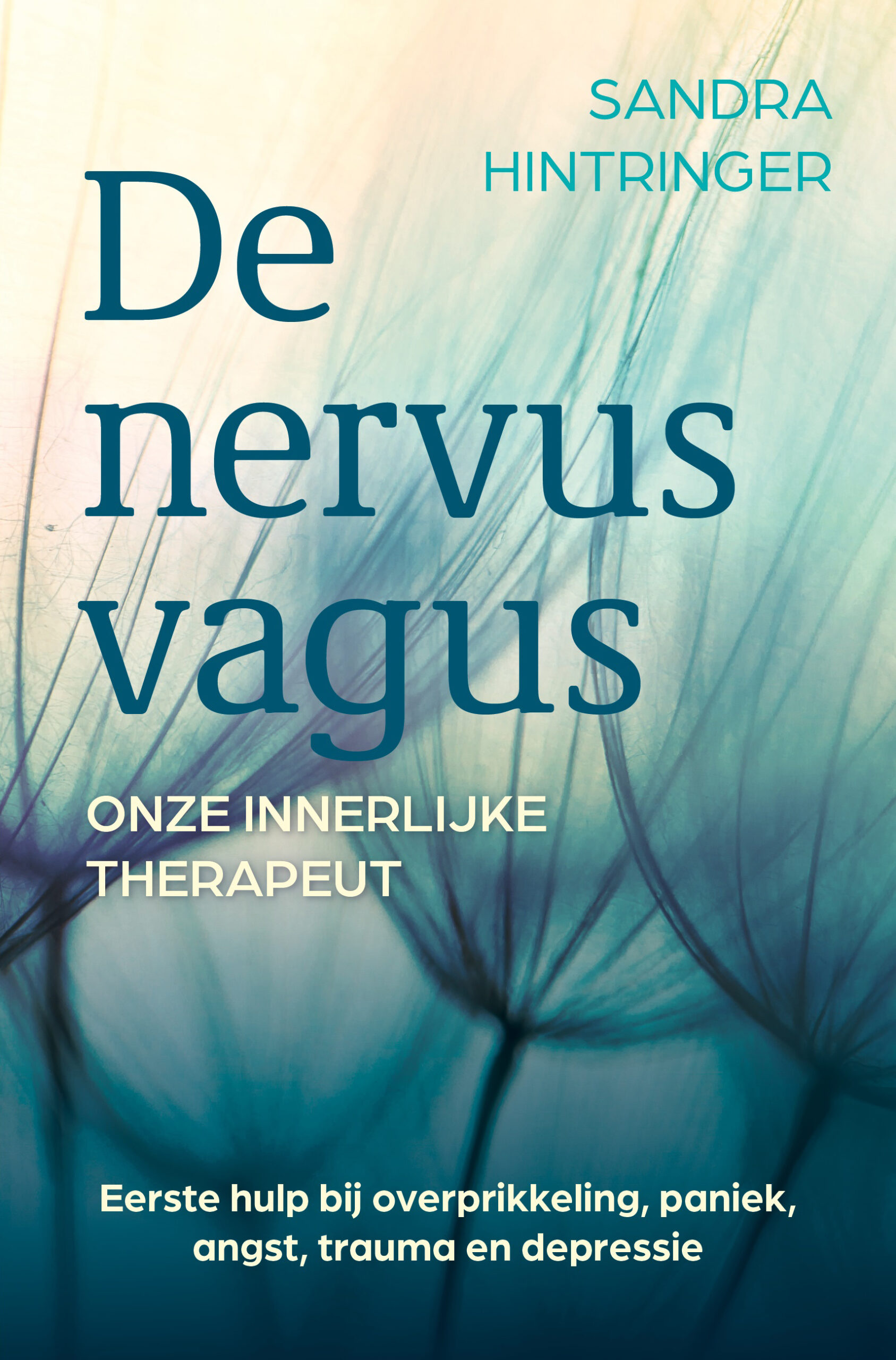 Alleen deze maand: korting op 'De nervus vagus'
